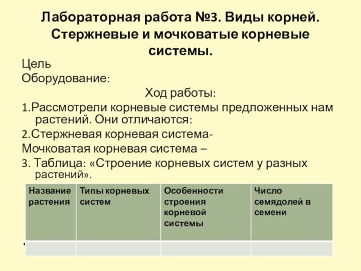 Лабораторная работа №3. Виды корней. Стержневые и мочковатые корневые системы. ЦельОборудование:Ход