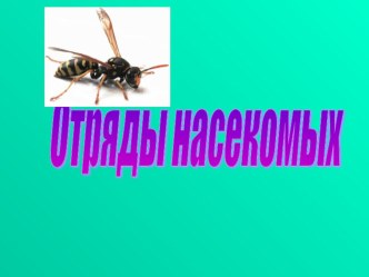 Презентация по биологии на тему: Отряд насекомых (7 класс)