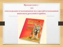 Презентация Животные Красной книги