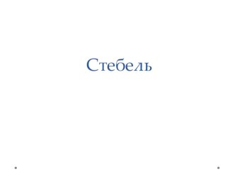 Презентация по биологии на тему: Стебель (6 класс)