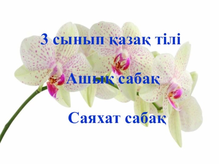 3 сынып қазақ тілі    Ашық сабақ