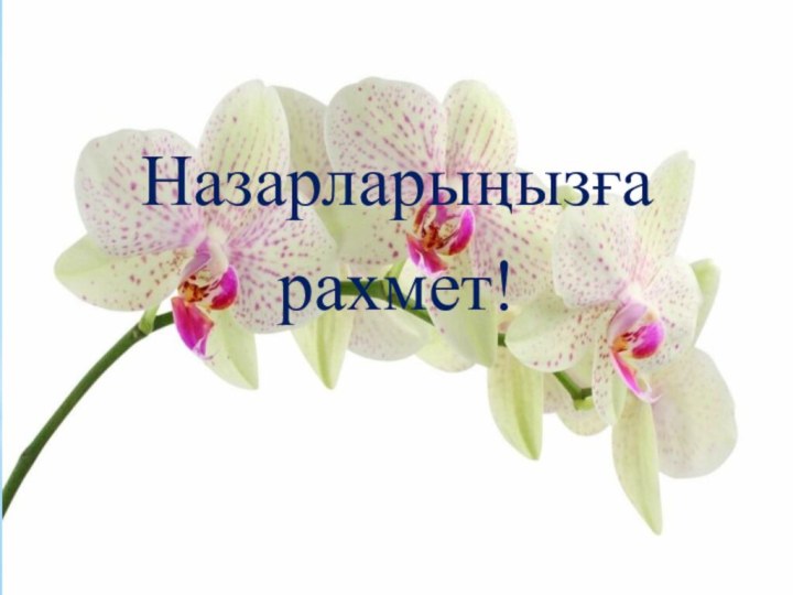 Назарларыңызғарахмет!