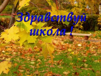 Презентация к уроку Первый урок алгебры в 7 классе