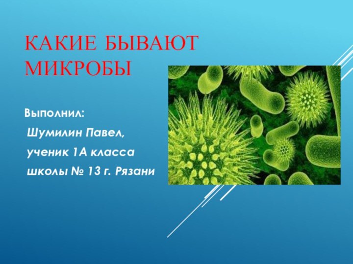 Какие бывают микробыВыполнил: Шумилин Павел, ученик 1А класса школы № 13 г. Рязани