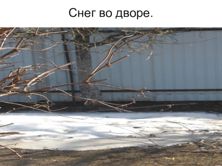 Снег во дворе.