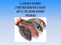 Презентация: Санитарно-гигиеническое исследование рыбы