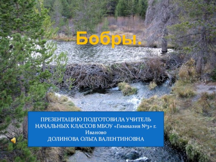 Бобры.ПРЕЗЕНТАЦИЮ ПОДГОТОВИЛА УЧИТЕЛЬ НАЧАЛЬНЫХ КЛАССОВ МБОУ «Гимназия №3» г.ИвановоДОЛИНОВА ОЛЬГА ВАЛЕНТИНОВНА