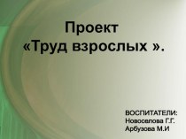 Презентация проекта Труд взрослых