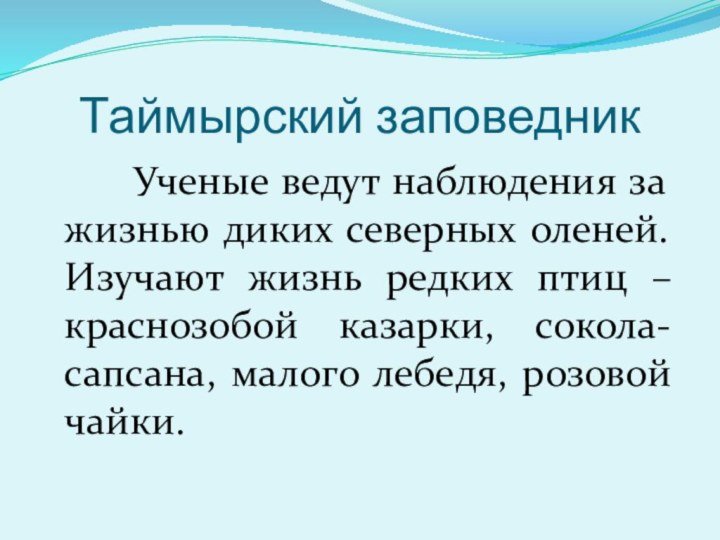 Таймырский заповедник    Ученые ведут наблюдения за жизнью диких северных