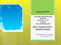 Проект по окружающему миру. Мой лимон вырос. 3 класс