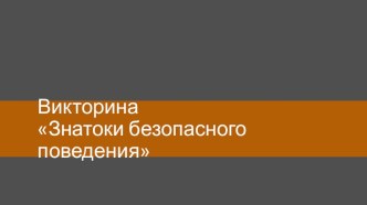 Презентация. Викторина Знатоки безопасности