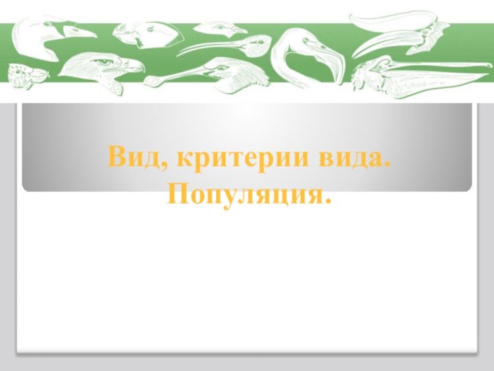 Вид, критерии вида. Популяция.