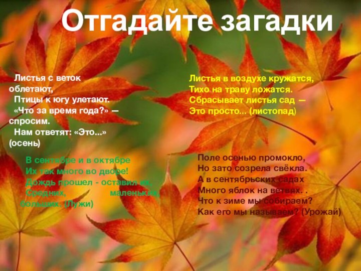 Листья с веток облетают,Птицы к югу улетают.«Что за время года?» — спросим.Нам