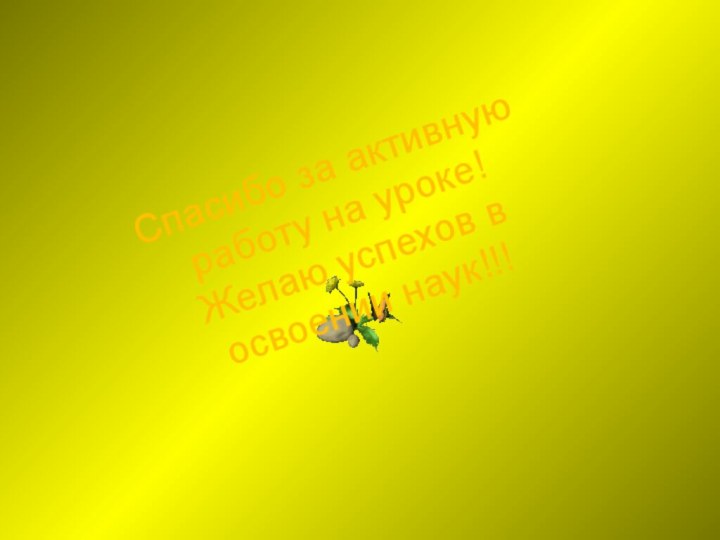 Спасибо за активную работу на уроке! Желаю успехов в освоении наук!!!