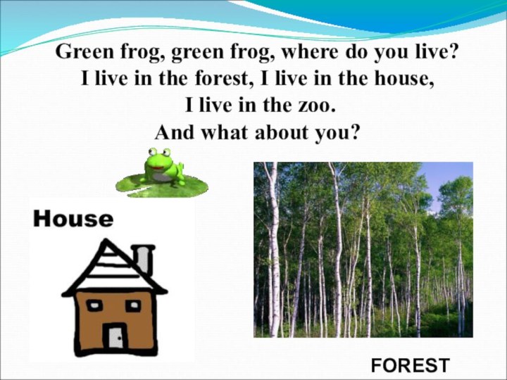 Green frog, green frog, where do you live?I live in the forest,