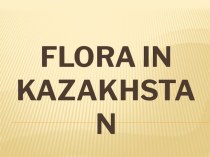 Презентация по английскому языку на тему Растительность Казахстана