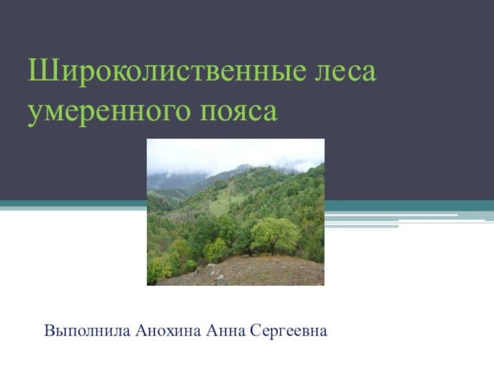 Широколиственные леса умеренного пояса   Выполнила Анохина Анна Сергеевна