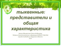 Презентация Семейство тыквенные: представители и общая характеристика