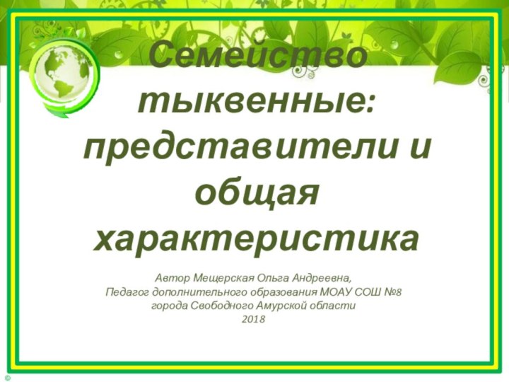 Автор Мещерская Ольга Андреевна, Педагог дополнительного образования МОАУ СОШ №8города Свободного Амурской