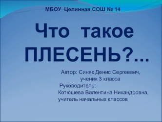 Научно-исследовательская работа Что такое плесень?