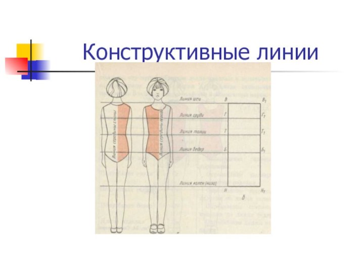 Конструктивные линии