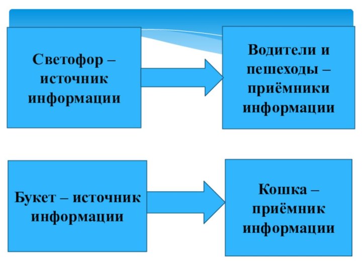 Светофор – источник информацииВодители и пешеходы – приёмники информацииБукет – источник информацииКошка – приёмник информации