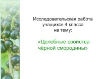 Презентация Исследовательская работа учащихся 4 класса