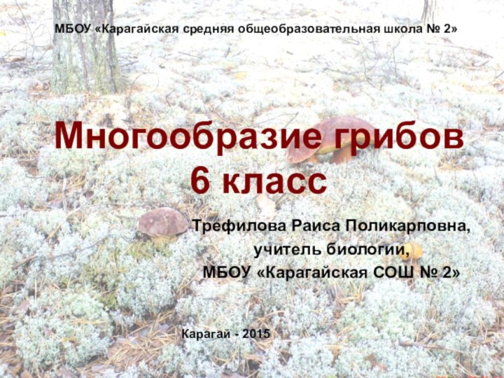 Многообразие грибов 6 классТрефилова Раиса Поликарповна,учитель биологии,МБОУ «Карагайская СОШ № 2» МБОУ