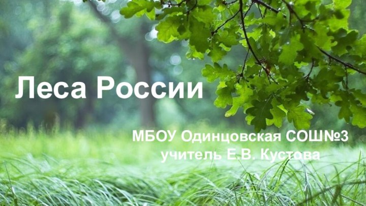 Леса РоссииМБОУ Одинцовская СОШ№3 учитель Е.В. Кустова