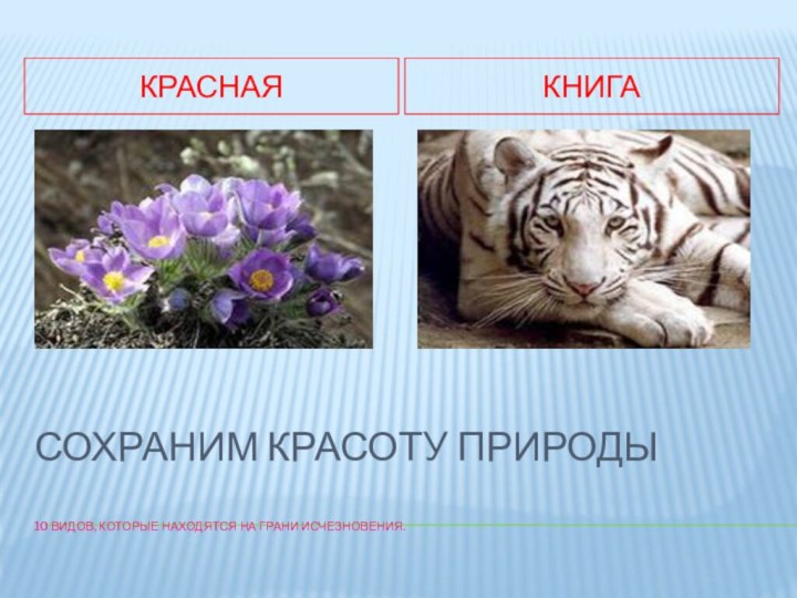 Сохраним красоту природы  10 видов, которые находятся на грани исчезновения.КраснаяКнига