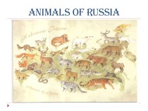 Презентация по англ. яз. на тему The Wild Animals of Russia