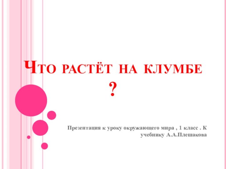 Что растёт на клумбе ? Презентация к уроку окружающего мира , 1