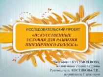 Проект по ознакомлению с природой для воспитанников старшей группы Колосок