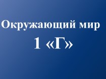 Тема урока: Какая целебная сила скрыта в ягодах