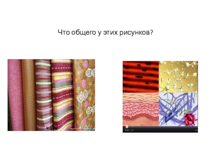 Что общего у этих рисунков?