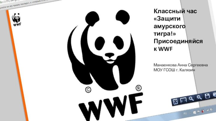 Манаенкова Анна СергеевнаМОУ ГСОШ г. КалязинКлассный час«Защити амурского тигра!»Присоединяйся к WWF