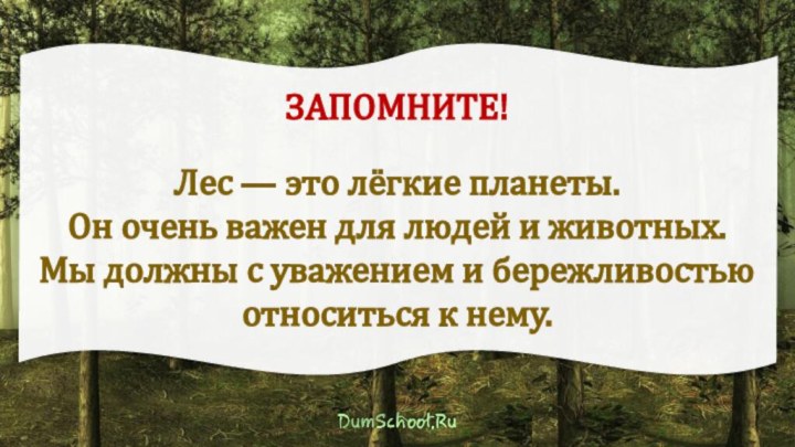 ЗАПОМНИТЕ!Лес — это лёгкие планеты. Он очень важен для людей и животных.Мы