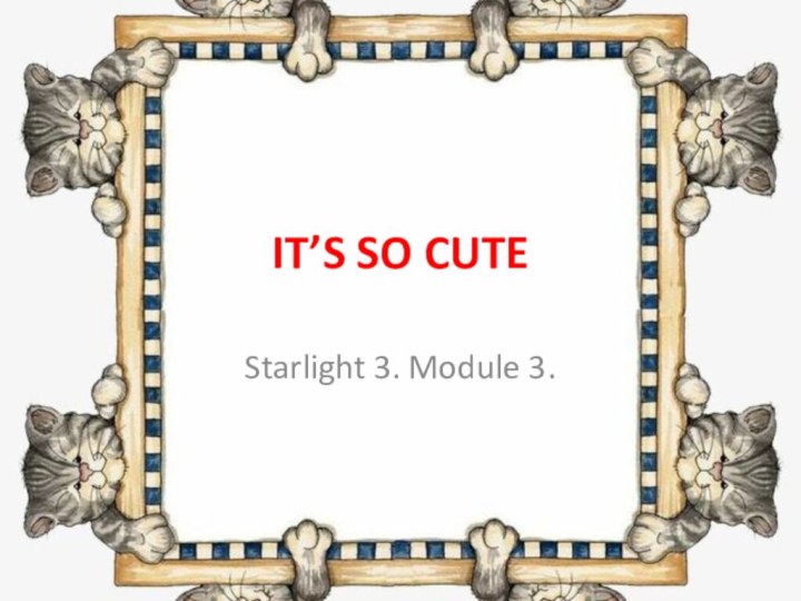 IT’S SO CUTEStarlight 3. Module 3.