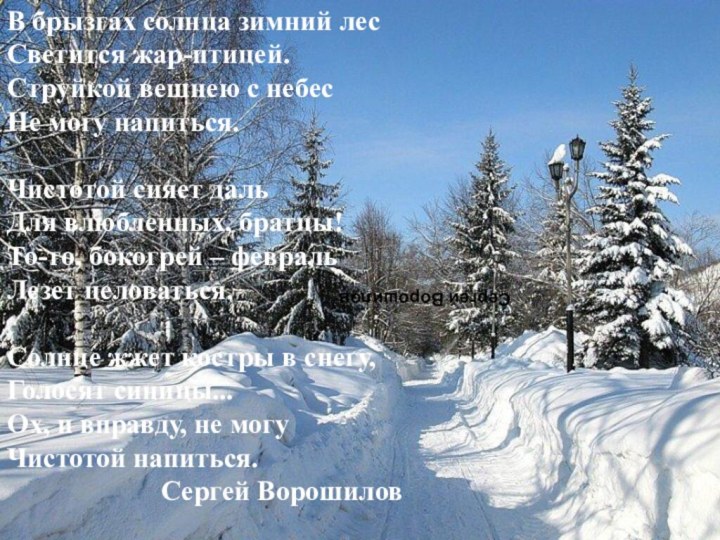 В брызгах солнца зимний лес Светится жар-птицей.  Струйкой вешнею с небес Не