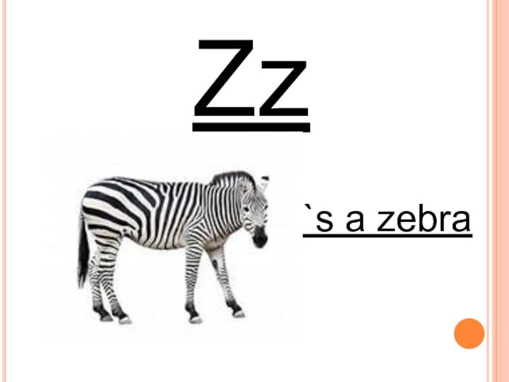 Zz it`s a zebra