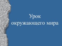 Презентация по уроку окружающего мира 4 класс