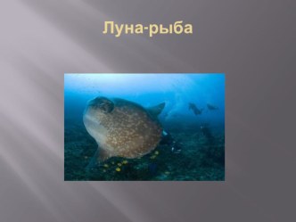 Презентация, по географии в которой освещены основные экологические проблемы России.