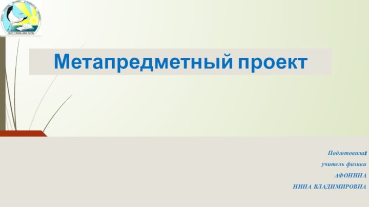 Метапредметный проектПодготовила:учитель физики АФОНИНА НИНА ВЛАДИМИРОВНА