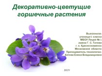 Презентация по технологии на тему Декоративно-цветущие растения