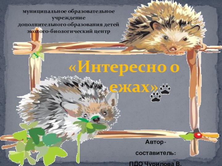 «Интересно о   ежах»муниципальное образовательное учреждение дополнительного образования детей эколого-биологический центрАвтор-составитель:ПДО Чурилова В.С.