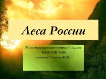 Презентация к уроку по Окружающему миру в 1 классе на тему Леса России.