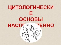 Презентация по ветеринарной генетике Цитологические основы наследственности