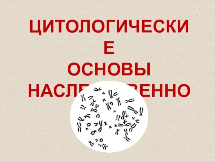 ЦИТОЛОГИЧЕСКИЕ ОСНОВЫ НАСЛЕДСТВЕННОСТИ