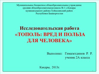 Тополь:вред и польза для человека