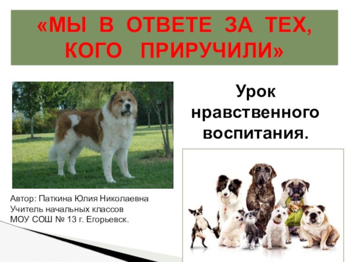 «МЫ В ОТВЕТЕ ЗА ТЕХ, КОГО  ПРИРУЧИЛИ»Урок нравственного воспитания.Автор: Паткина Юлия